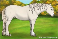 Horse Color:Perlino Sabino Frame 