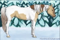 Horse Color:Red Dun Tobiano