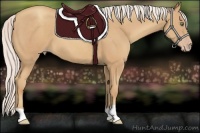 Horse Color:Silver Classic Champagne 