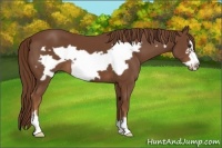 Horse Color:Chestnut Frame
