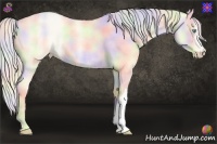 Horse Color:Nacre Silver Smoky Creme Roan Dun 
