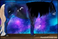 Horse Color:Buckskin Dun Splash Appaloosa 