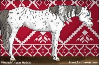 Horse Color:Black Splash Appaloosa Rabicano 