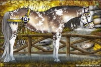 Horse Color:Liver Red Onyx Sabino Splash