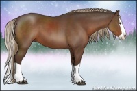 Horse Color:Liver Chestnut Splash 