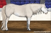 Horse Color:Smoky Creme Sabino  Brindle