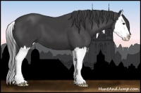 Horse Color:Smoky Black Sabino Splash 