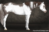 Horse Color:Liver Red Roan Sabino Splash Frame 