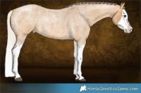 Horse Color:Silver Buckskin Roan Splash 