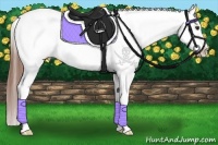 Horse Color:Chestnut Sabino