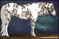 Horse Color:White Spotted Chocolate Palomino Varnish Rabicano 