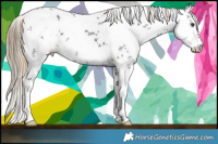 Horse Color:White Spotted Liver Chestnut Sabino and White Spotted Liver Chestnut Sabino