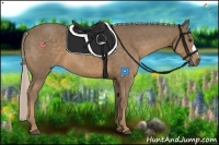 Horse Color:Chocolate Palomino 