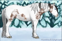 Horse Color:Bay Ice Splash Tobiano 