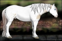 Horse Color:Bay Dun Splash Tobiano Appaloosa 