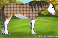 Horse Color:Plaid  Brown Sabino Splash 