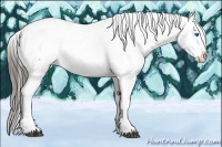 Horse Color:Black Splash Tobiano Appaloosa Rabicano 