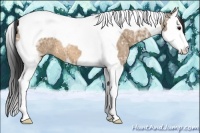Horse Color:Bay Ice Dun Splash Tobiano
