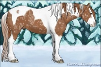 Horse Color:Chestnut Ice Splash Tobiano 