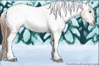 Horse Color:Chestnut Tobiano Appaloosa Rabicano 