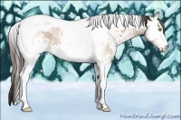 Horse Color:White Spotted Amber Champagne Ice Tobiano Rabicano 