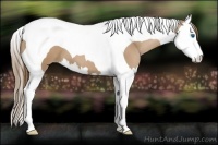 Horse Color:Black Pearl Splash Tobiano 