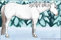 Horse Color:Bay Ice Tobiano Appaloosa