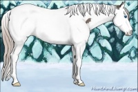 Horse Color:Silver Black Splash Tobiano Rabicano