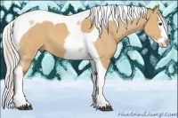 Horse Color:Silver Bay Dun Splash Tobiano 