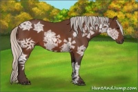 Horse Color:Silver Brown Ice 