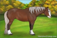 Horse Color:Silver Brown Splash 