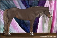 Horse Color:Liver Chestnut Sabino
