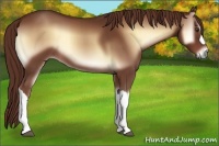 Horse Color:Red Onyx 