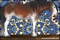 Horse Color:White Spotted Bay Splash 