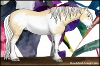 Horse Color:Silver Sable Champagne Dun Splash Frame 