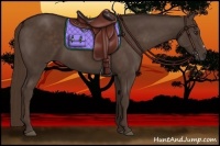 Horse Color:Liver Chestnut Frame 