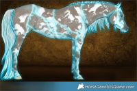Horse Color:Thunderstruck Silver Grullo Splash Frame Rabicano