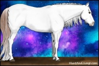 Horse Color:White Spotted Red Dun Appaloosa Rabicano 