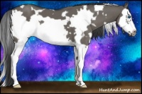 Horse Color:White Spotted Grullo Splash Frame 