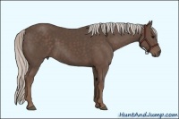 Horse Color:Silver Black 