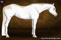 Horse Color:Red Dun Roan Splash Frame Rabicano 