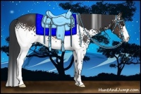 Horse Color:White Spotted Brown 