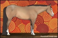 Horse Color:Amber Champagne Sabino