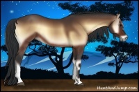 Horse Color:Bay Onyx 