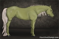 Horse Color:Watercolor Silver Black 