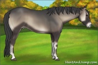 Horse Color:Smoky Blue Onyx Sabino 