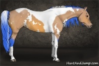 Horse Color:Watercolor White Spotted Bay Tobiano 