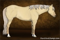 Horse Color:Palomino Dun Rabicano