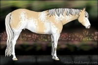 Horse Color:White Spotted Silver Buckskin Sabino