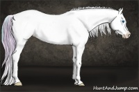 Horse Color:Watercolor Black Splash Appaloosa 